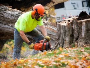 {{ custom_values.service_3 }} in {{custom_values.area_4})