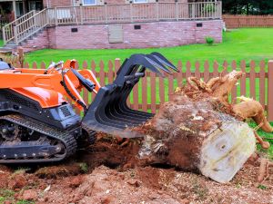 {{ custom_values.service_1 }} in {{custom_values.area_2})