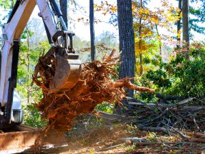 {{ custom_values.service_3 }} in {{custom_values.area_1})