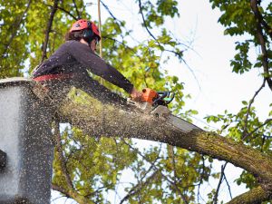 {{ custom_values.service_2 }} in {{custom_values.area_4})