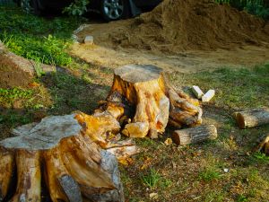 {{ custom_values.service_4 }} in {{custom_values.area_3})