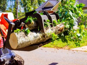 {{ custom_values.service_1 }} in {{custom_values.area_5})