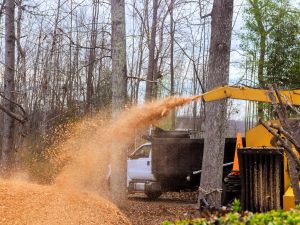 {{ custom_values.service_2 }} in {{custom_values.area_1})