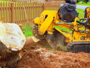 {{ custom_values.service_4 }} in {{custom_values.area_5})