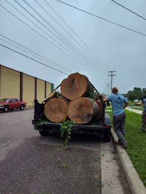 Emergency tree service in Reedsburg