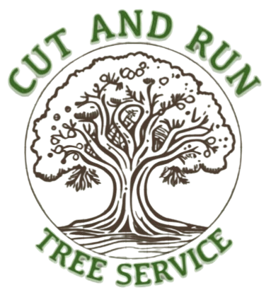 arboriculture in Reedsburg