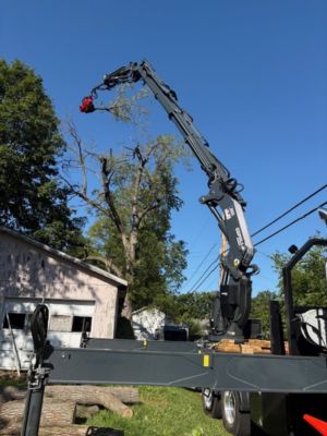 {{ custom_values.service_3 }} in {{custom_values.area_6})