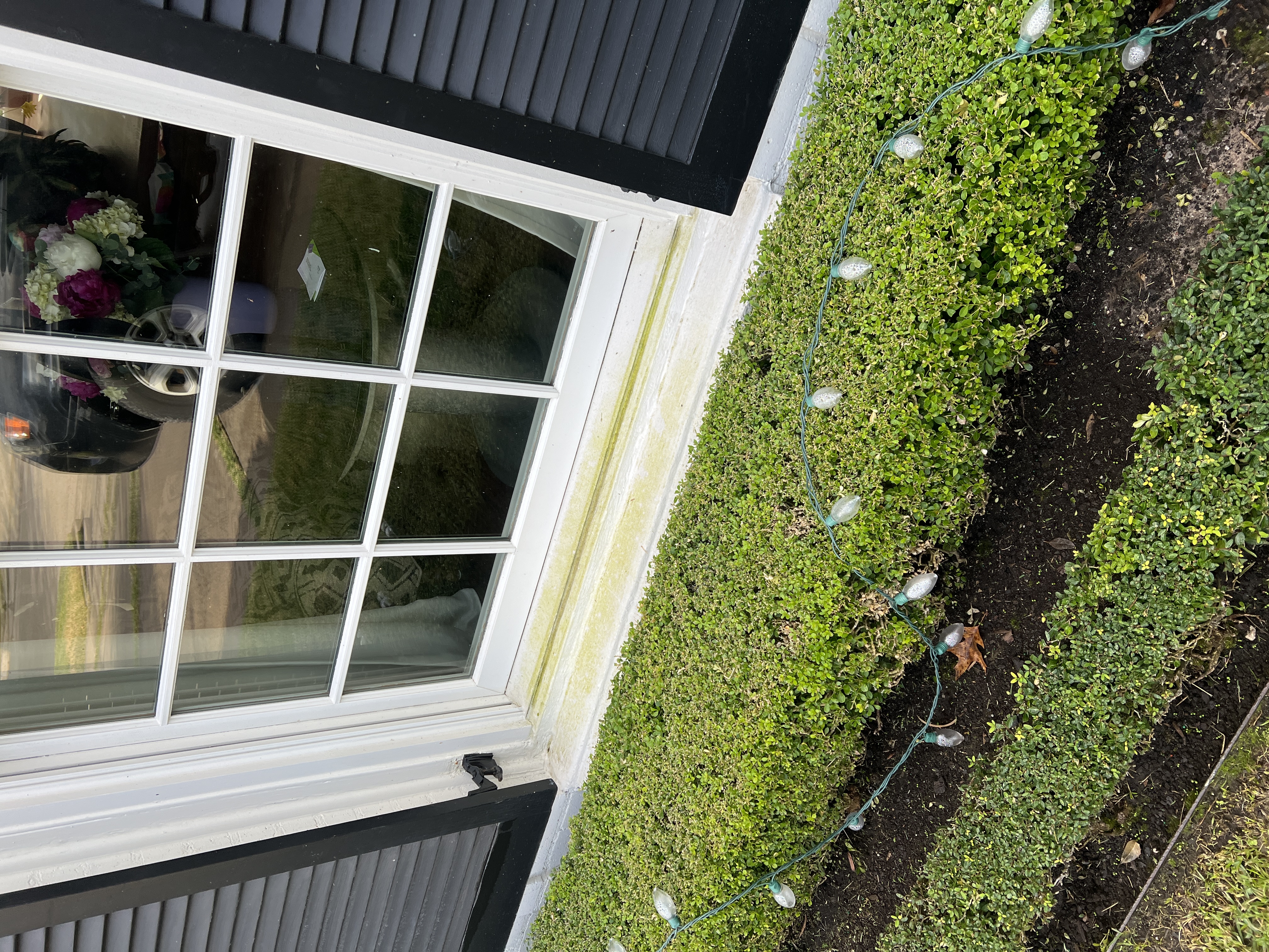  Interior Window Cleaning
