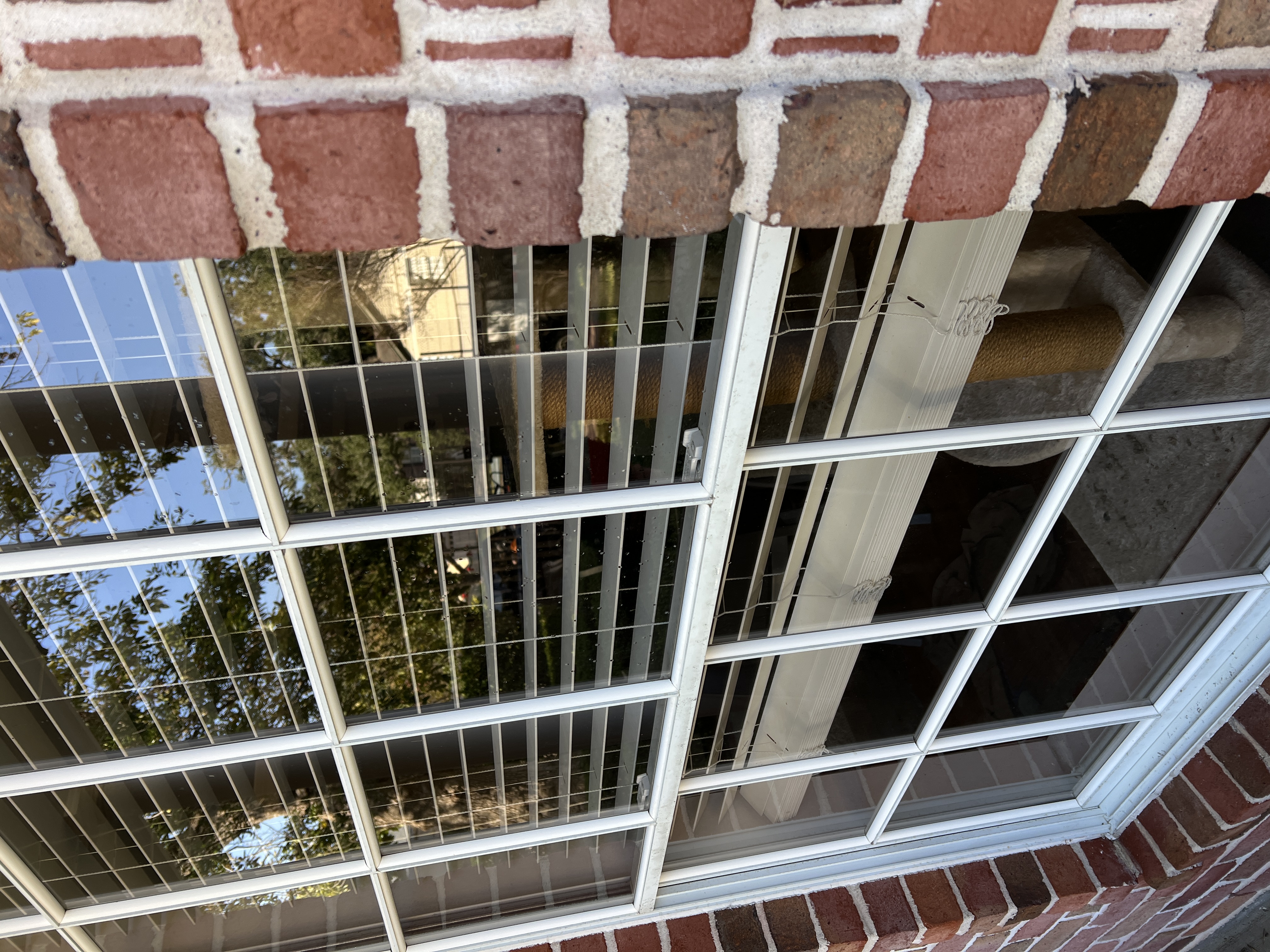 Spring Valley Window Cleaning