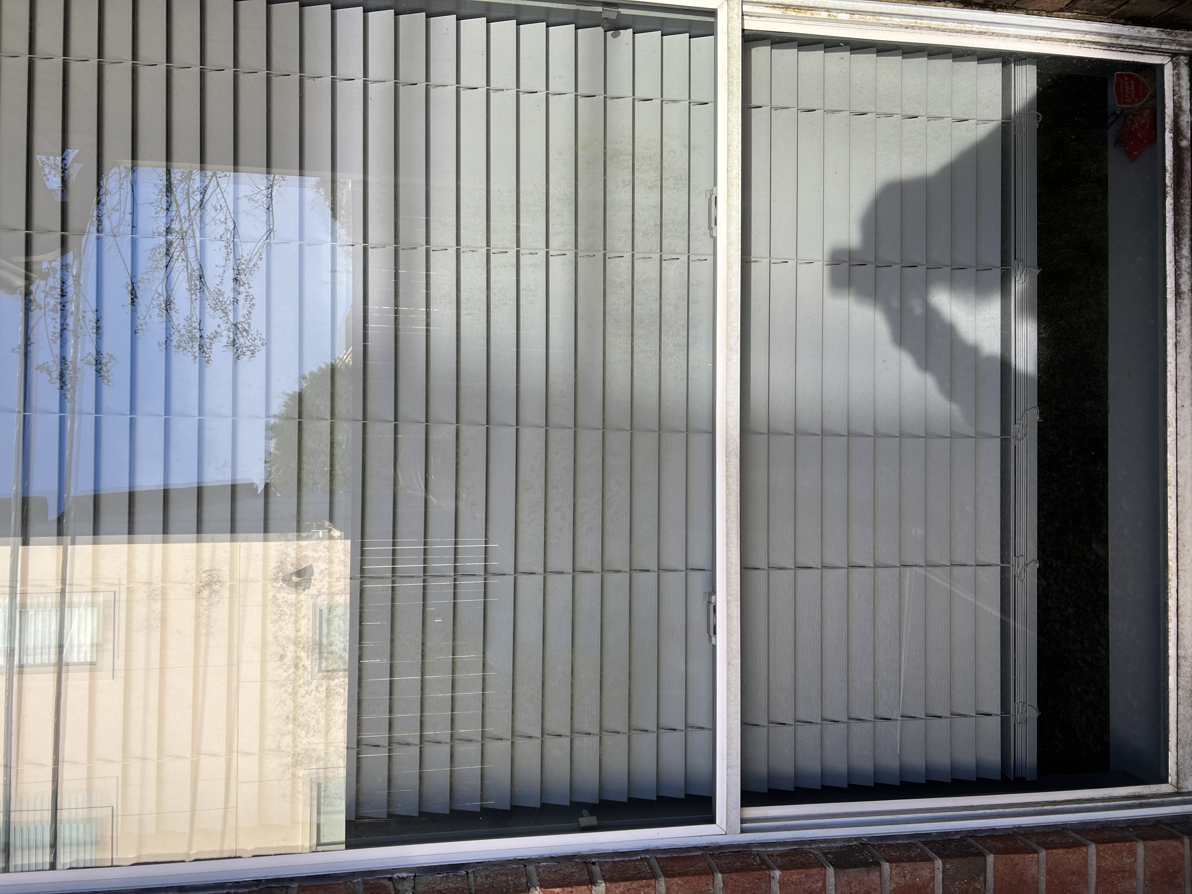Interior Window Cleaning