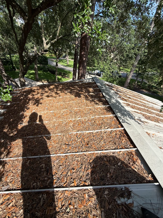 Exterior Window Cleaning