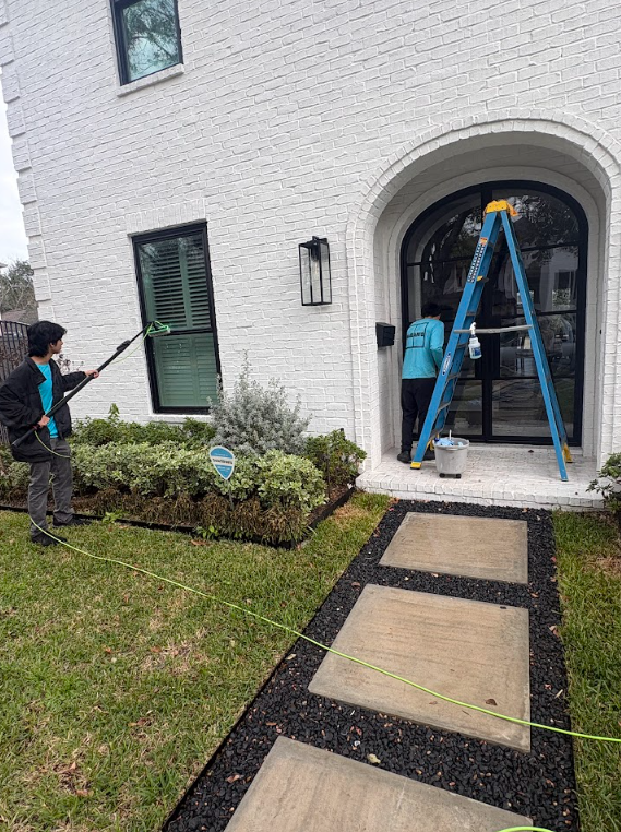 Softwashing in Bellaire