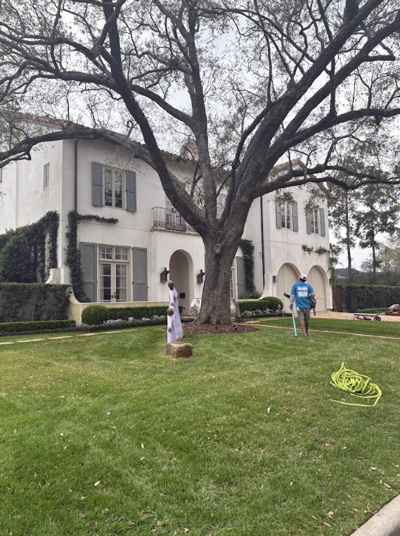 Memorial Window Cleaning