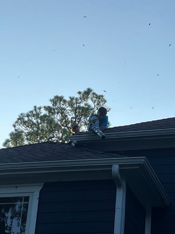  Interior Window Cleaning