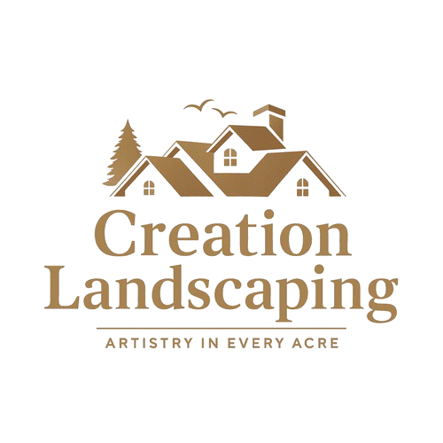 Lawn Maintenance & Care Hamilton