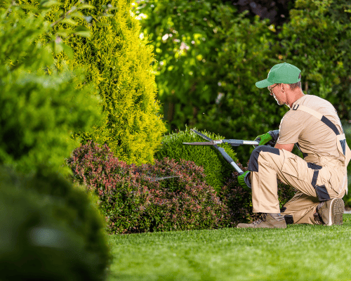 Lawn Maintenance & Care Hamilton