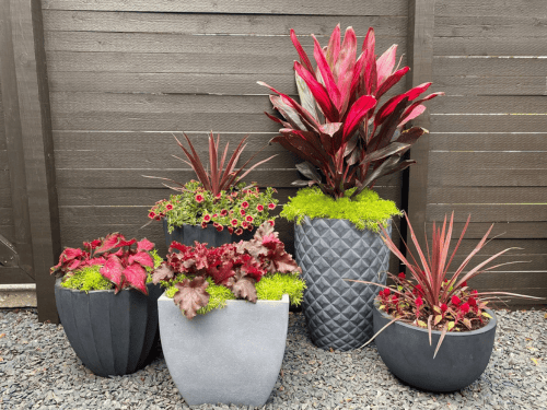 Flower Pot Installation Hamilton