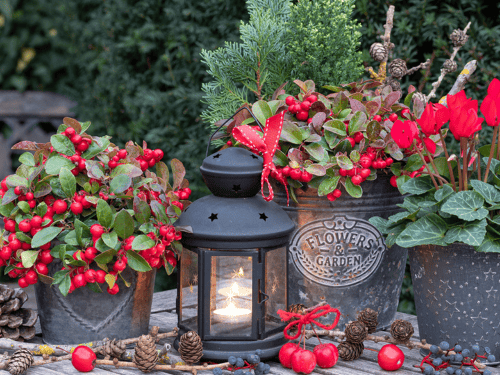 Holiday Decorating Hamilton