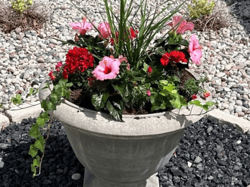 Hancock Flower Pot Installation