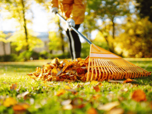 Spring/Fall Clean Up Hamilton