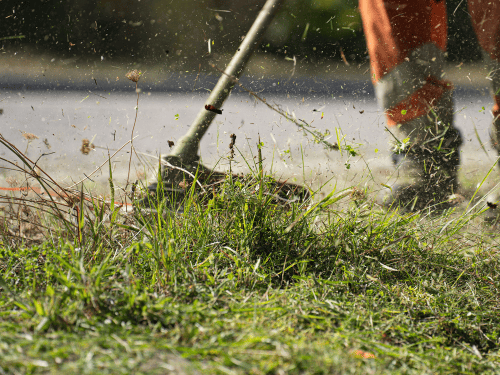 Weekly Lawn Care Hamilton