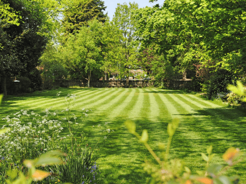 Weekly Lawn Care in Hamilton