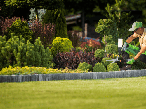 Boone Bed/Plant Maintenance