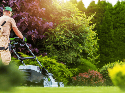 Hamilton Weekly Lawn Care