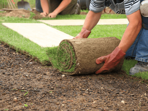 Sod Laying in Hamilton