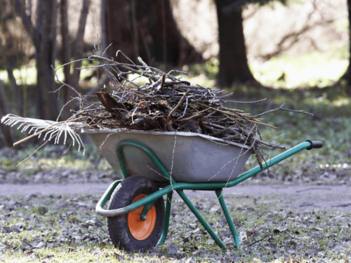 Hancock Spring/Fall Clean Up