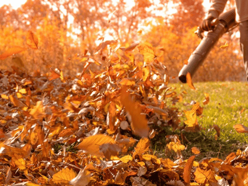 Spring/Fall Clean Up in Hamilton