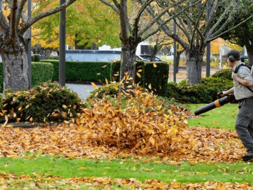 Hamilton Spring/Fall Clean Up