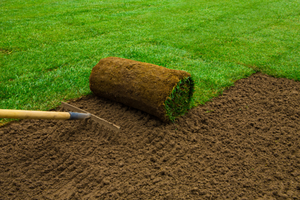 Lawn Maintenance Hamilton