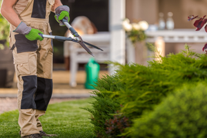 Weekly Lawn Care Hamilton