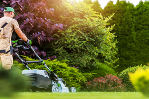 Holiday Decorating Hamilton