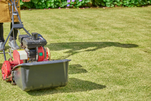 Holiday Decorating Hamilton