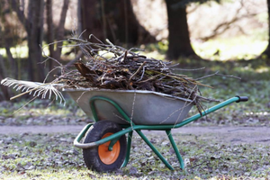 Bed/Plant Maintenance 