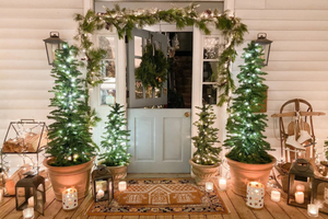 Landscape Lighting Hamilton