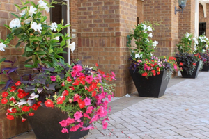 Spring/Fall Clean Up Hamilton