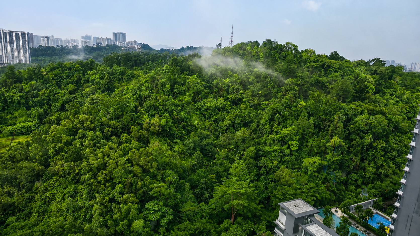 forest view bangsar south