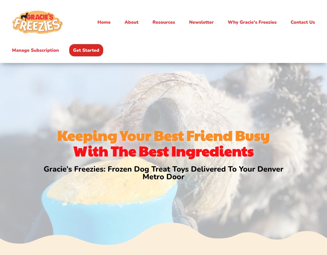Gracie's Freezies website design by DigiWoof