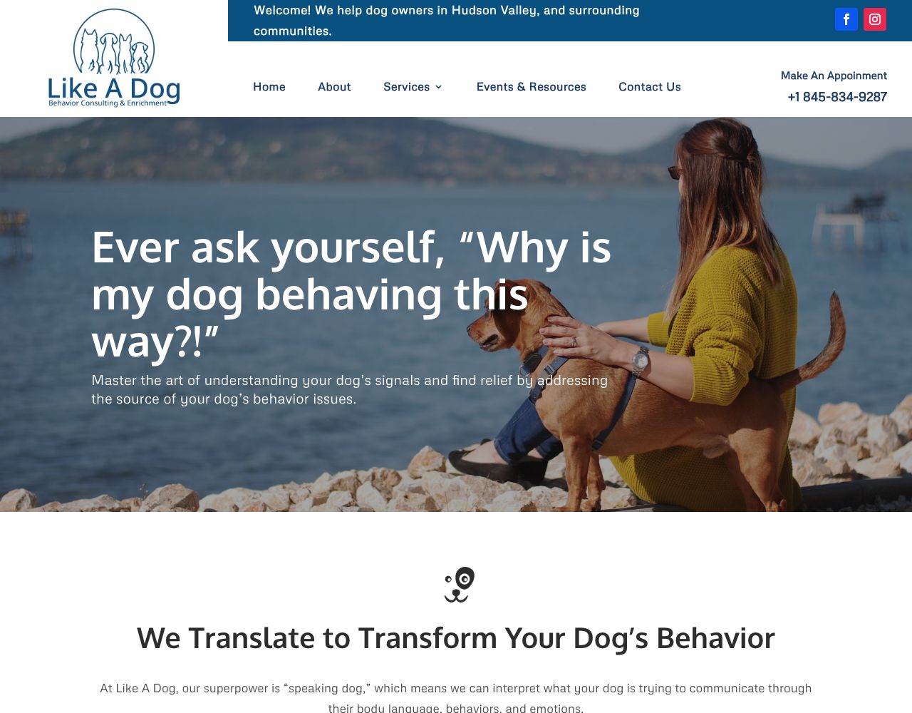 Like A Dog website design by DigiWoof