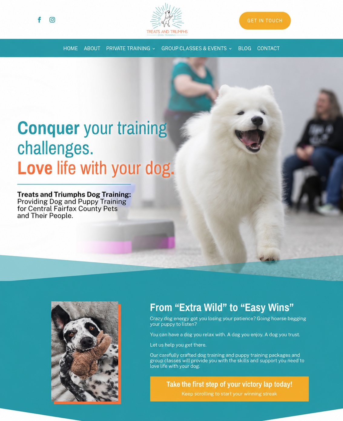 Treats and Triumphs Dog Training website design by DigiWoof