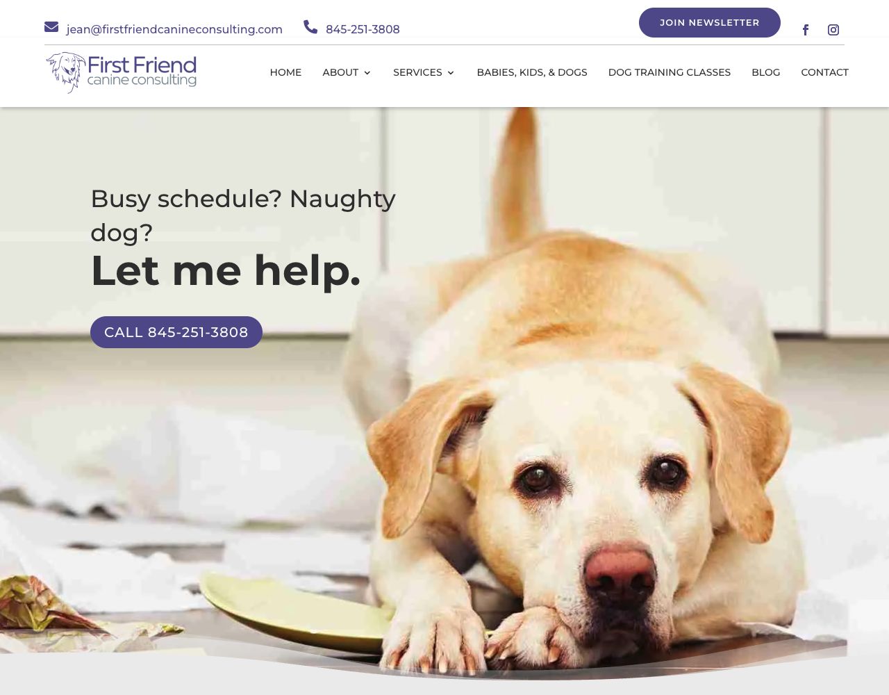 First Friend Canine Consulting website design by DigiWoof