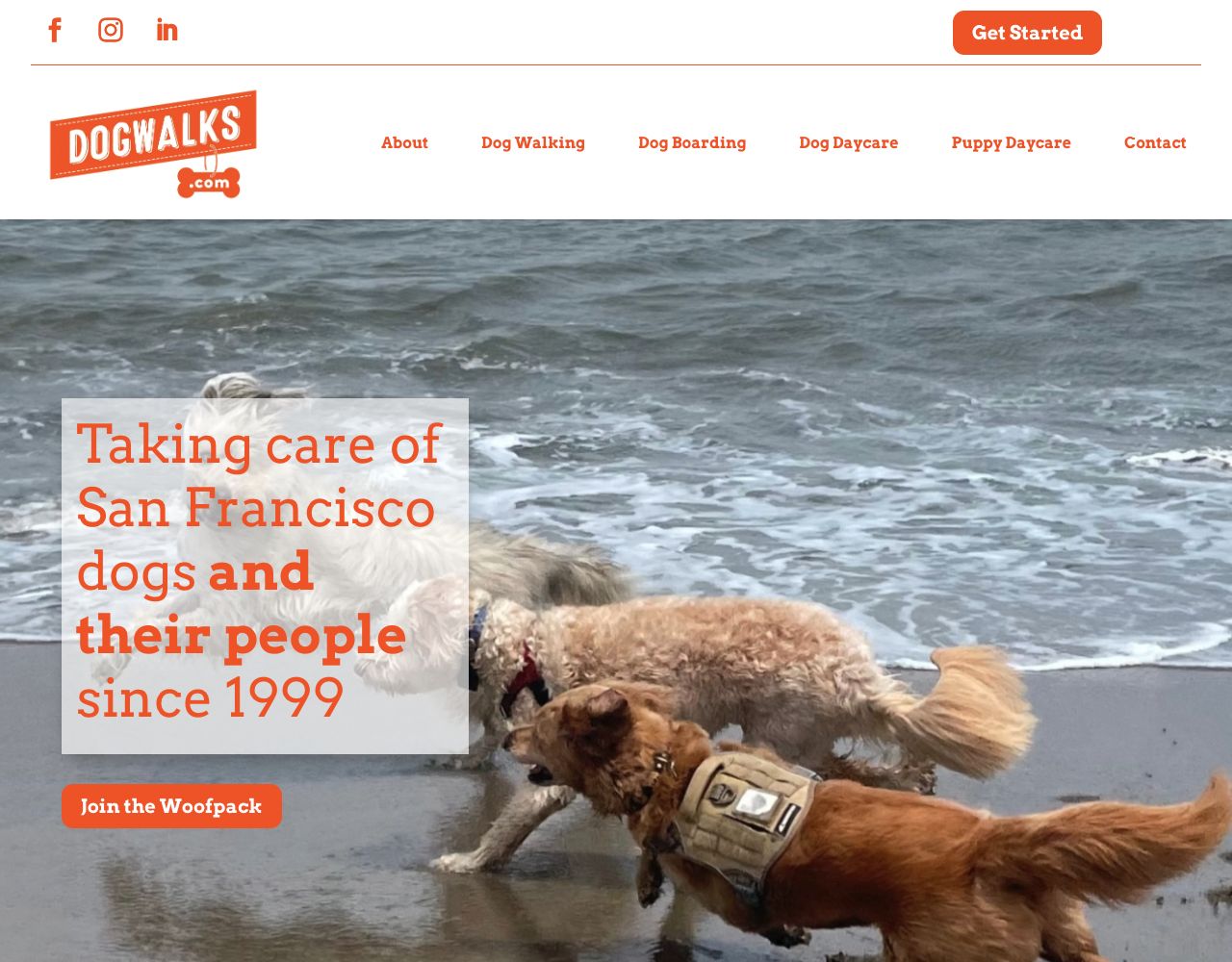 Dogwalks website design by DigiWoof