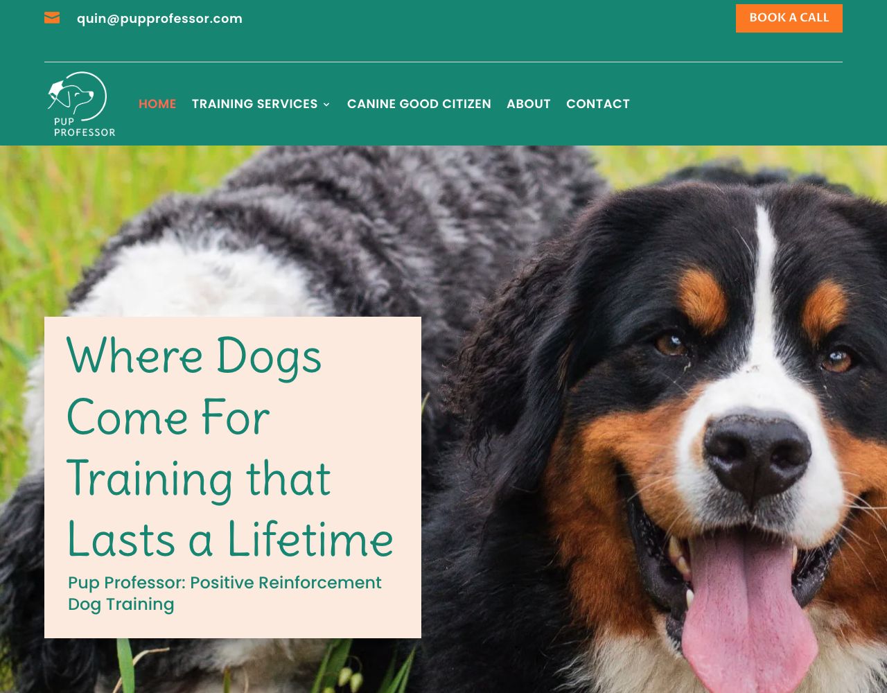 Pup Professor website design by DigiWoof