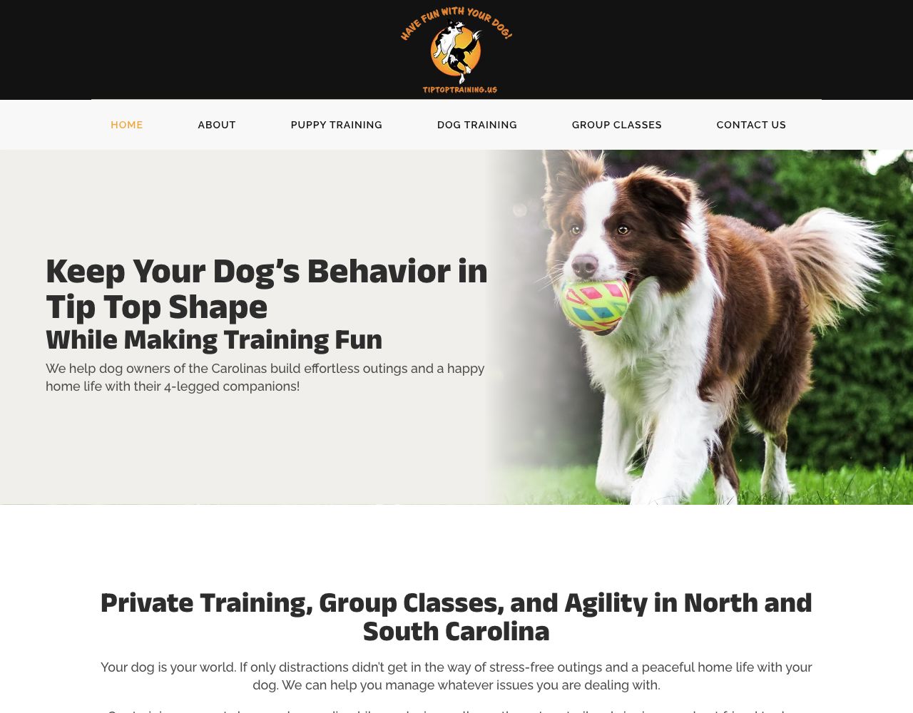 Tip Top Training website design by DigiWoof