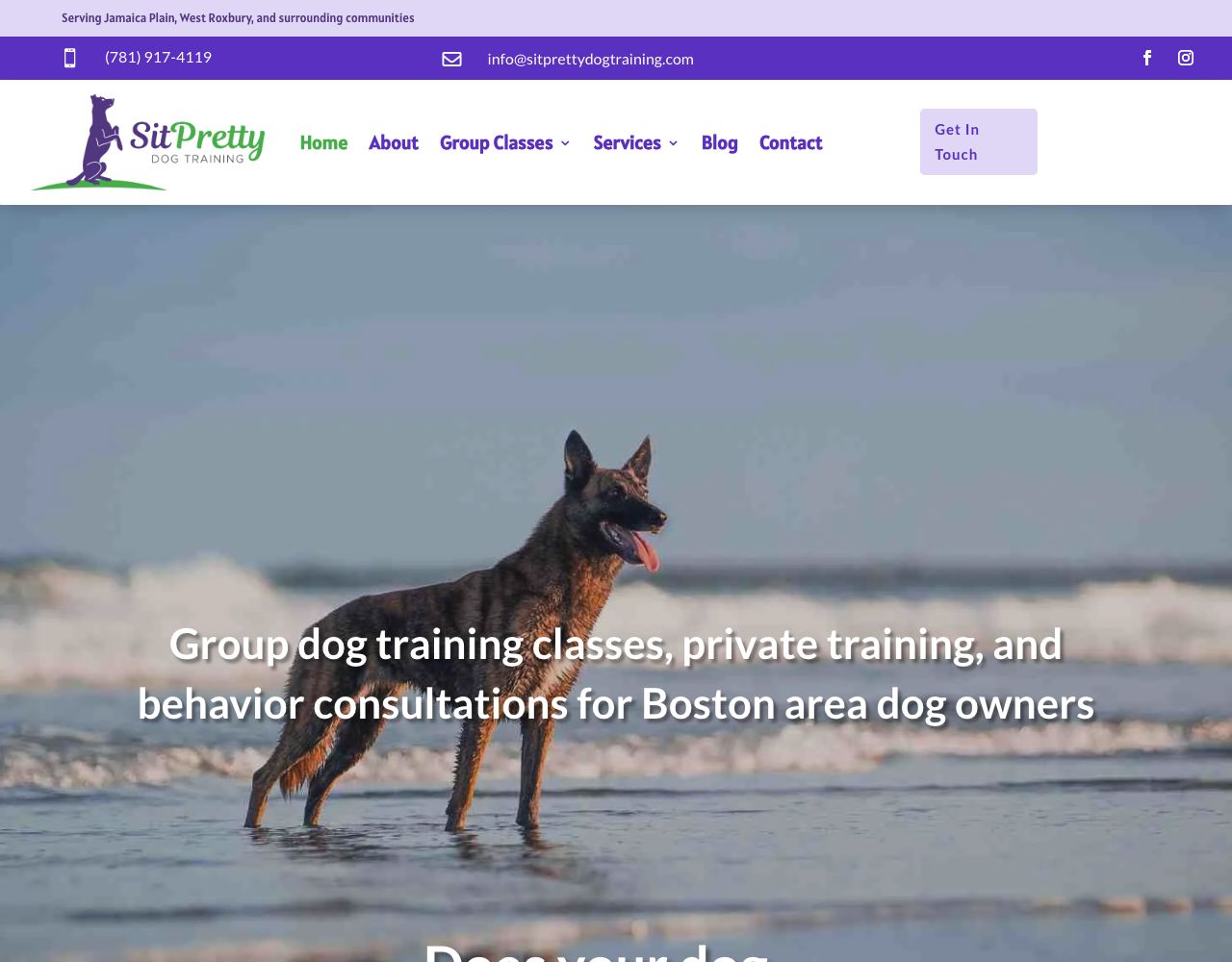 Sit Pretty Dog Training website design by DigiWoof