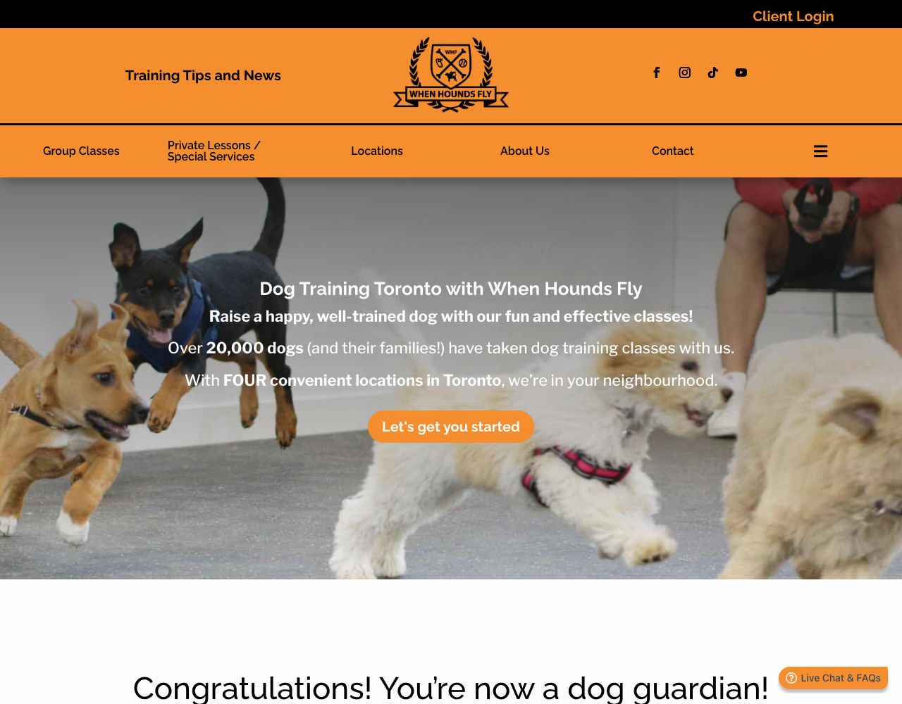 When Hounds Fly website design by DigiWoof