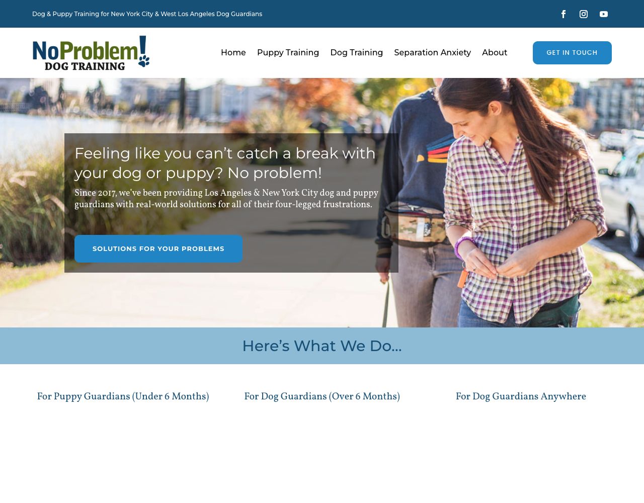 No Problem! Dog Training website design by DigiWoof